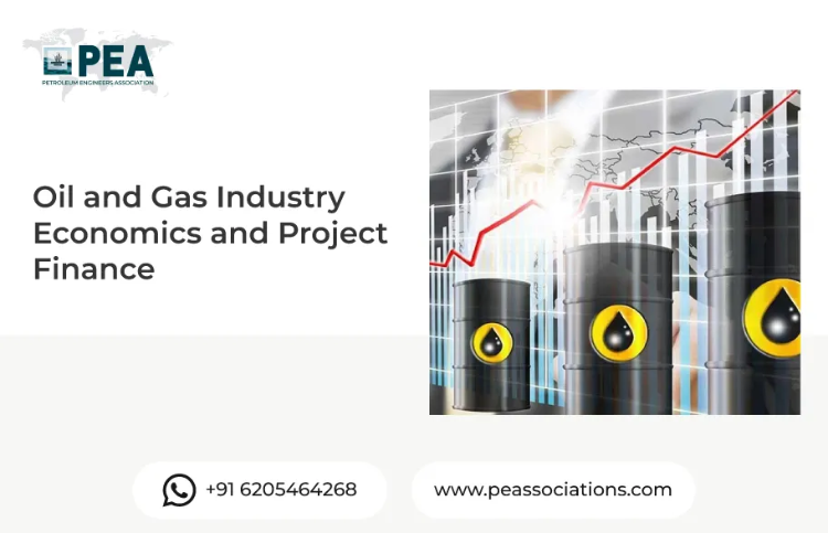 Oil and Gas Industry Economics and Project Finance