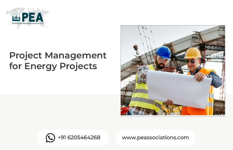Project Management for Energy Projects