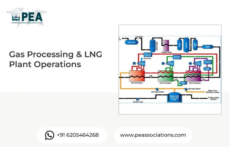 Gas Processing & LNG Plant Operations