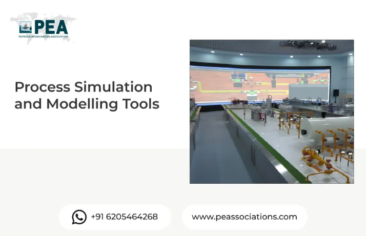 Process Simulation and Modelling Tools