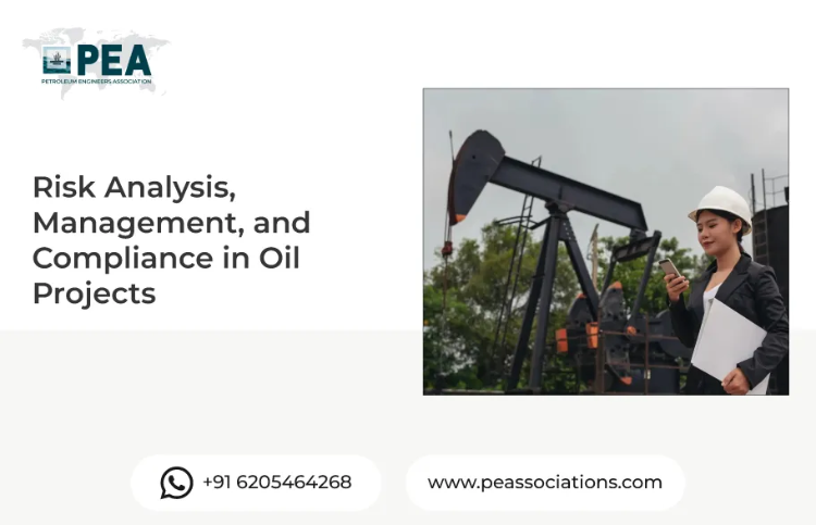 Risk Analysis, Management, and Compliance in Oil Projects