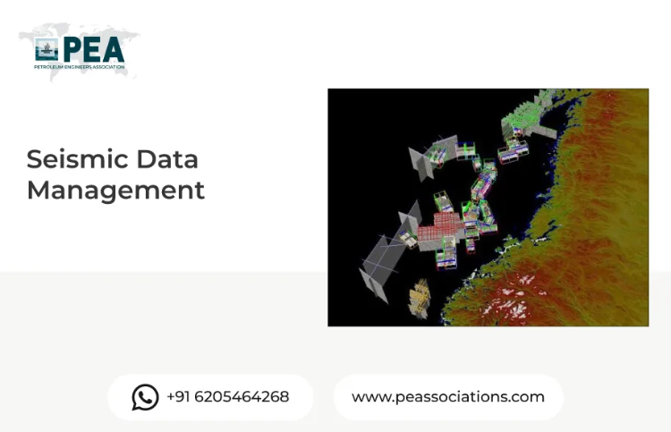 Seismic Data Management