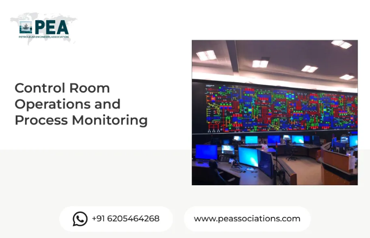 Control Room Operations and Process Monitoring