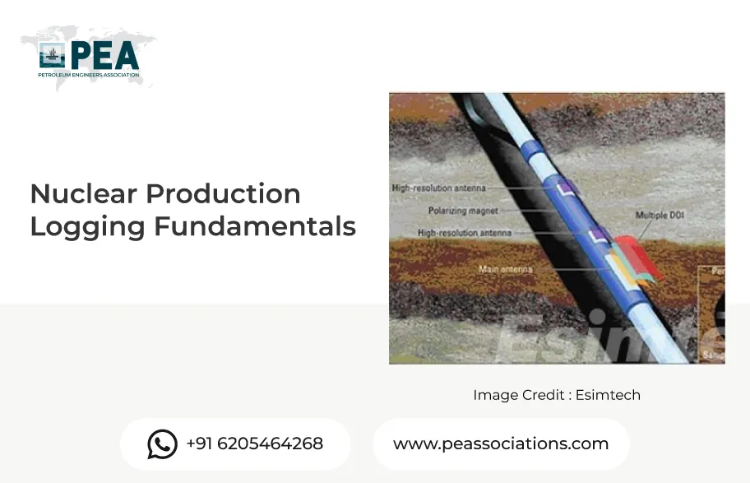 Nuclear Production Logging Fundamentals