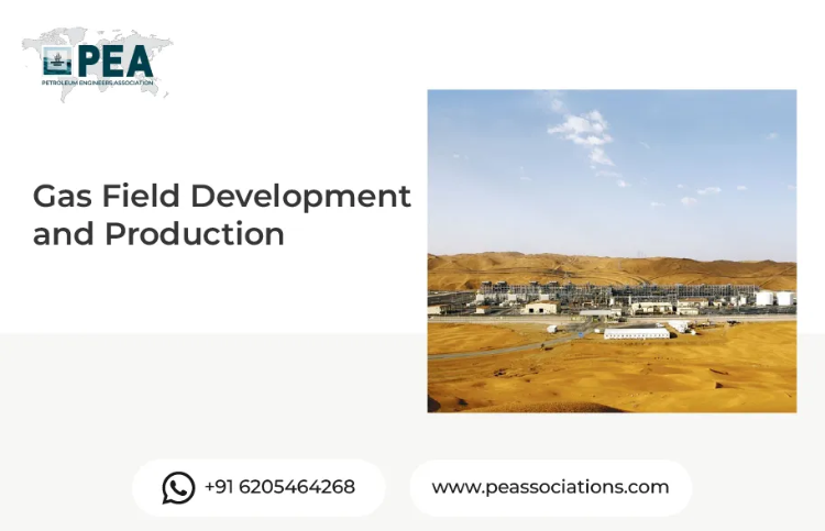 Gas Field Development and Production
