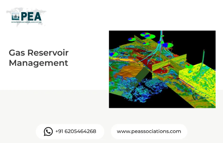 Gas Reservoir Management