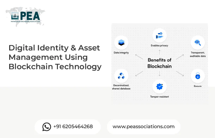 Digital Identity and Asset Management Using Blockchain Technology