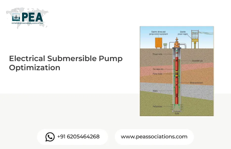 Electrical Submersible Pump Optimization