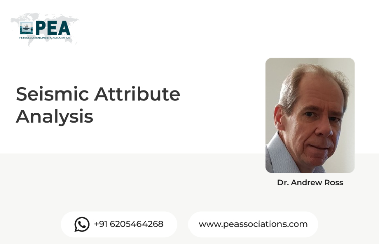 Seismic Attribute Analysis