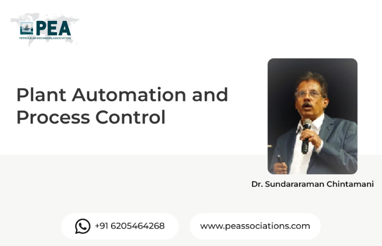 Plant Automation and Process Control