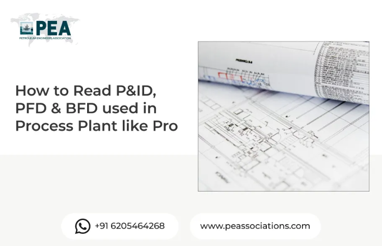 How to Read P&ID, PFD & BFD used in Process Plant like Pro