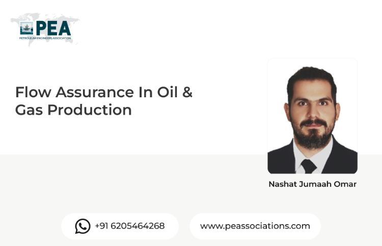 Flow Assurance in Oil & Gas Production