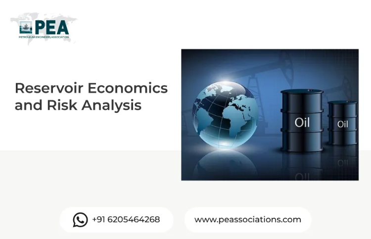 Reservoir Economics and Risk Analysis