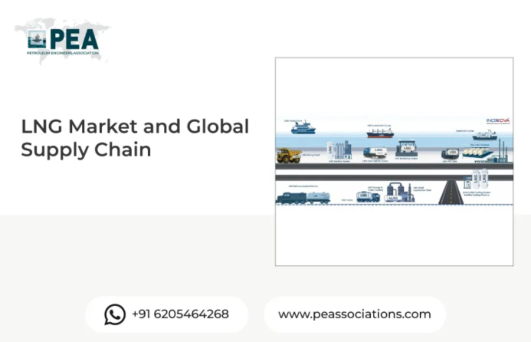 LNG Market and Global Supply Chain