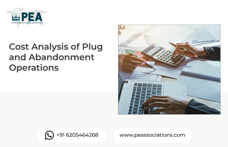Cost Analysis of Plug and Abandonment Operations