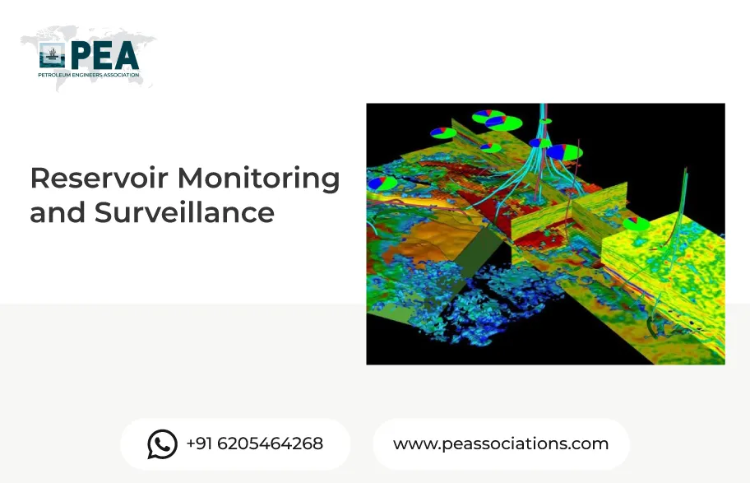 Reservoir Monitoring and Surveillance