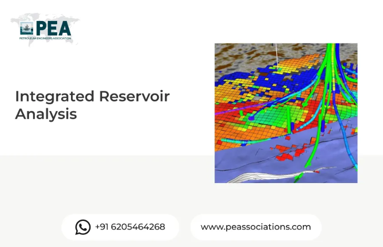 Integrated Reservoir Analysis