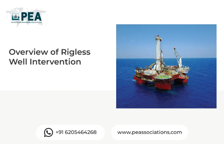 Overview of Rigless Well Intervention