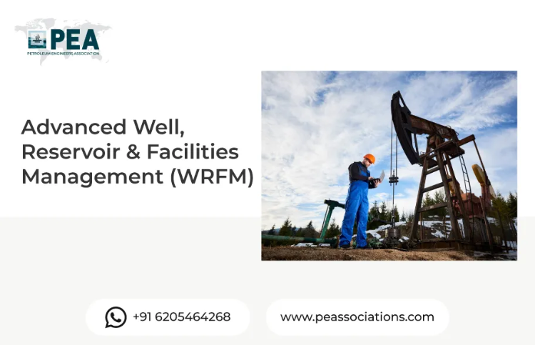 Advanced Well, Reservoir and Facilities Management (WRFM)