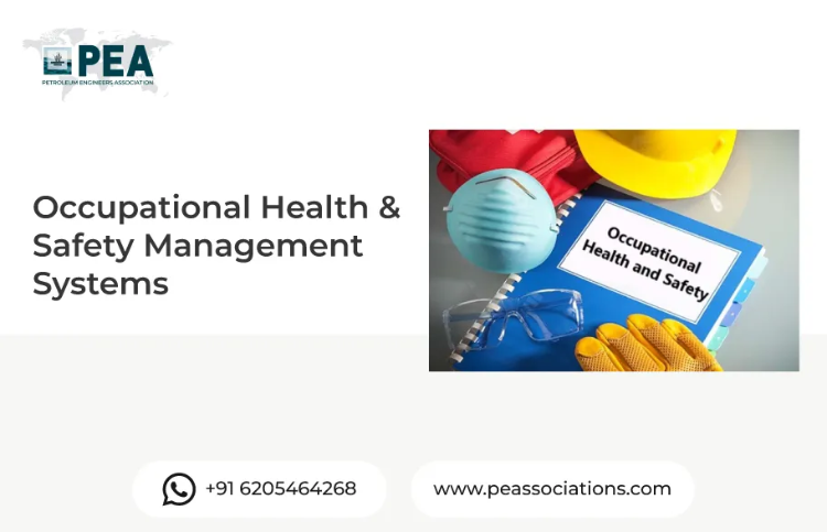 Occupational Health and Safety Management Systems