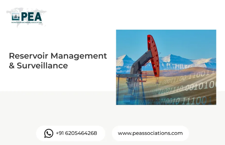 Reservoir Management & Surveillance