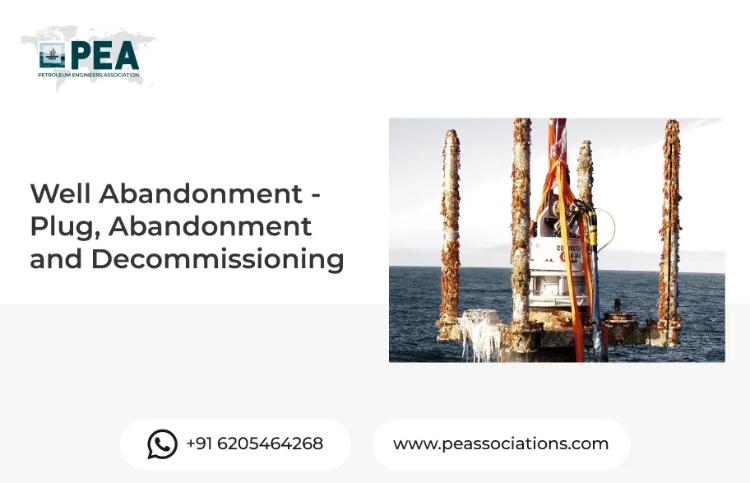 Well Abandonment - Plug, Abandonment and Decommissioning