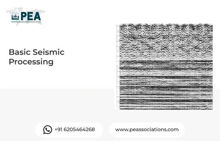 Basic Seismic Processing