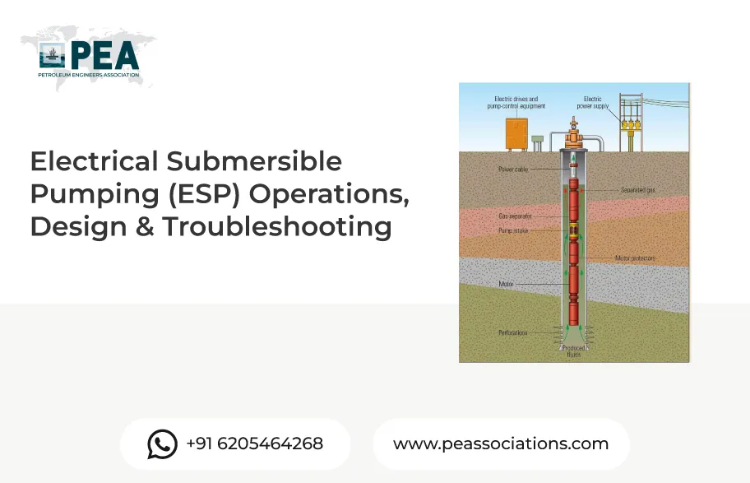 Electrical Submersible Pumping (ESP) Operations, Design & Troubleshooting
